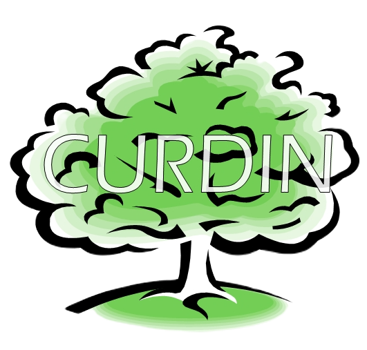 Logo COMMUNE DE CURDIN